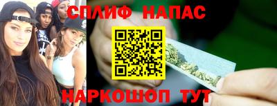 гидра Будённовск