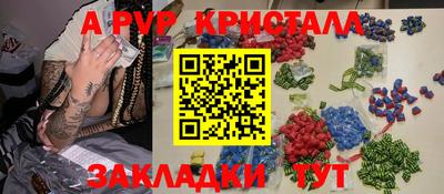 гидра Будённовск
