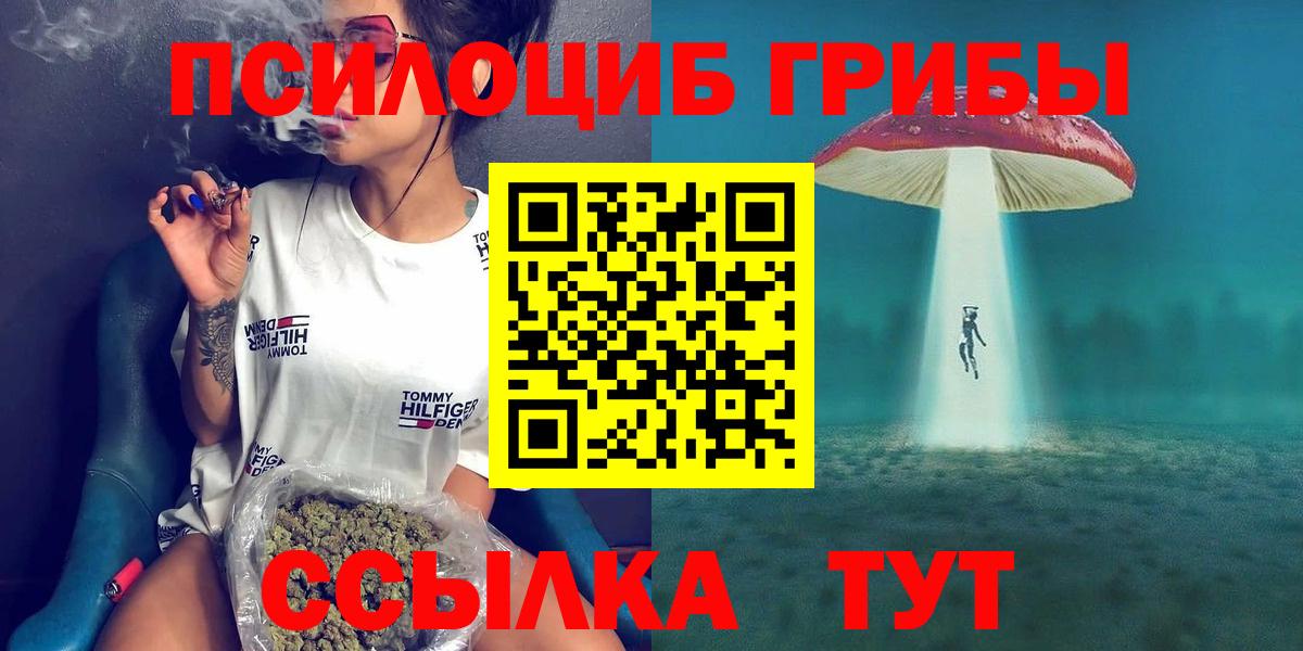 Псилоцибиновые грибы прущие грибы  Вход с VPN  Чистополь  Псилоцибиновые грибы Cubensis 