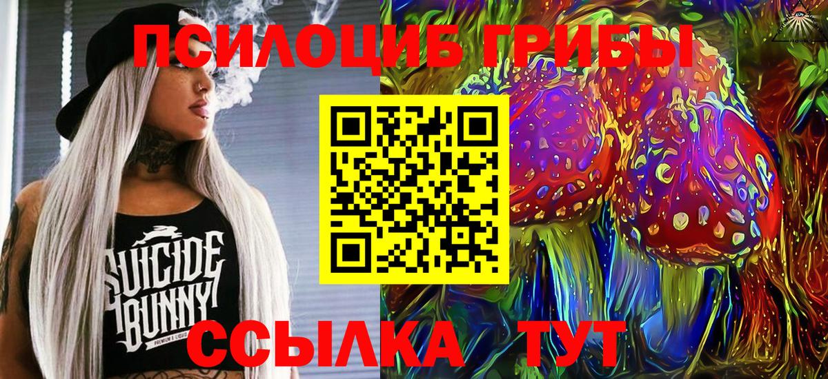 Псилоцибиновые грибы Cubensis Чистополь